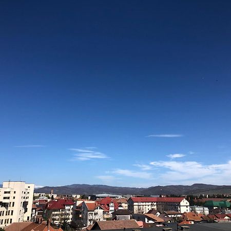 Tif Studio Râmnicu Vâlcea Eksteriør bilde